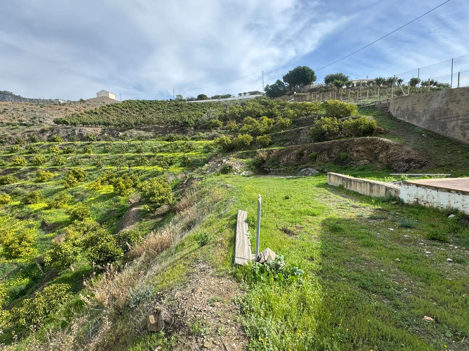 Apero with avocado trees and spectacular views