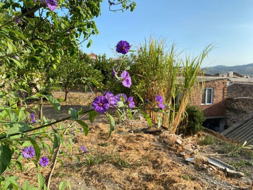 Villa myynnissä Vélez-Málaga